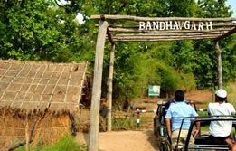 Bandhavgarh 