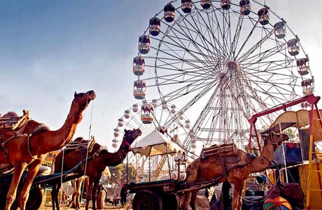 Camel Fair, Pushkar