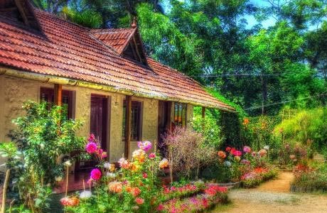 Rose Garden Homestay