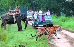 Wildlife Tour in India